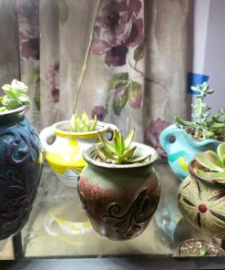 Ceramic Succulent Planter Pot Set fig3