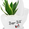 Cute Toilet Shaped Succulent Pot fig1