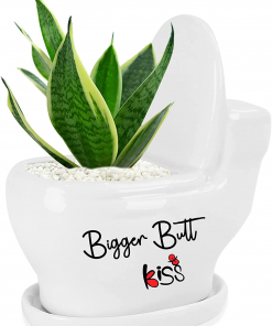 Cute Toilet Shaped Succulent Pot fig1