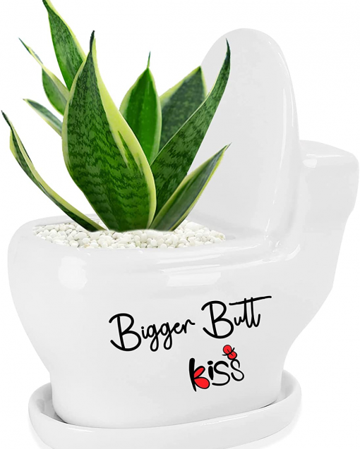 Cute Toilet Shaped Succulent Pot fig1