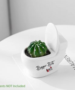 Cute Toilet Shaped Succulent Potfig2