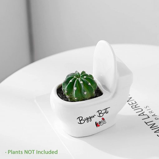 Cute Toilet Shaped Succulent Potfig2