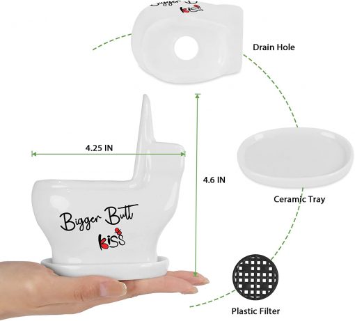 Cute Toilet Shaped Succulent Potfig3