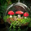 Glow in The Dark Mushrooms Fairy Garden Décor featured