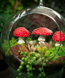 Glow in The Dark Mushrooms Fairy Garden Décor featured