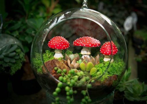 Glow in The Dark Mushrooms Fairy Garden Décor featured