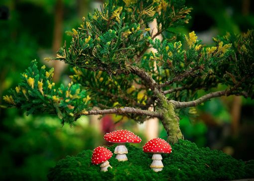 Glow in The Dark Mushrooms Fairy Garden Décor fig1