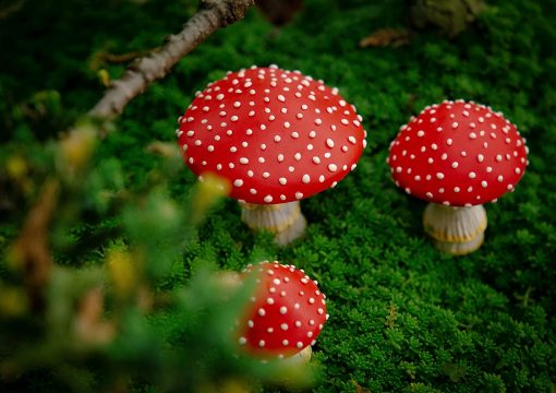 Glow in The Dark Mushrooms Fairy Garden Décor fig2